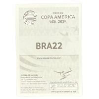 2024 Panini Copa America Endrick Rookie #BRA22 Brazil Stickers Back