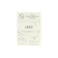 2024 Panini Copa America Pele Gold Stickers #LEG3 Back