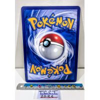 2024 Pokemon Terapagos & Friends Terapagos & Friends SV-P Jumbo Promo Card TH Back