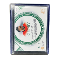 2025 Futera Unique Refael Leao Glory /15 #GL04 Backside