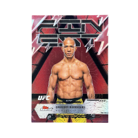2025 Topps Finest UFC Gregory Rodrigues /10 #284
Front