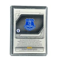 2019 Panini Prizm Premier League Dominic Calvert-Lewin #E-10
 Back