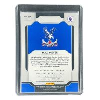 2019 Panini Prizm Premier League Max Meyer #224
 Back