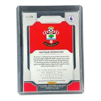 2019 Panini Prizm Premier League Nathan Redmond #238
 Back