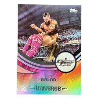 2025 Topps Universe WWE Finn Balor SummerSlam #287
Front