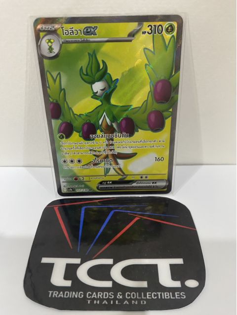 2025 Pokemon Arboliva EX TH #157138 SR Front