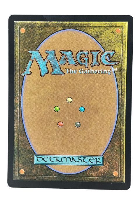 2025 Magic The Gathering x MARVEL’s Spectacular Spider-man #R0014
Back