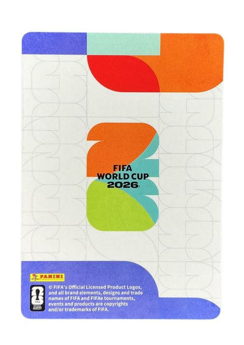 2026 Panini x Kayou FIFA World Cup Vozinha #80 Back