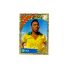 2024 Panini Copa America Pele Gold Stickers #LEG3 Front