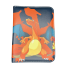 Pokemon Binder Charizard
Front