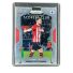2019 Panini Prizm Premier League Danny Ings #SC-15
 Front