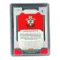 2019 Panini Prizm Premier League Nathan Redmond #238
 Back