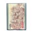 2025 Naruto Kayou English Series 3 A Cry on Deaf Ears Part 5 #NRSA03-R-032L1 Back