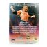 2025 Topps Universe WWE Triple H SummerSlam #272
Back